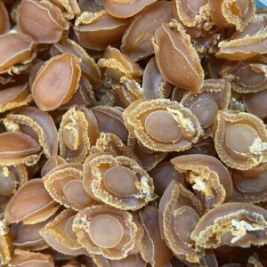Hang Wai Seafood – Dried Seafood and Chinese Herbs